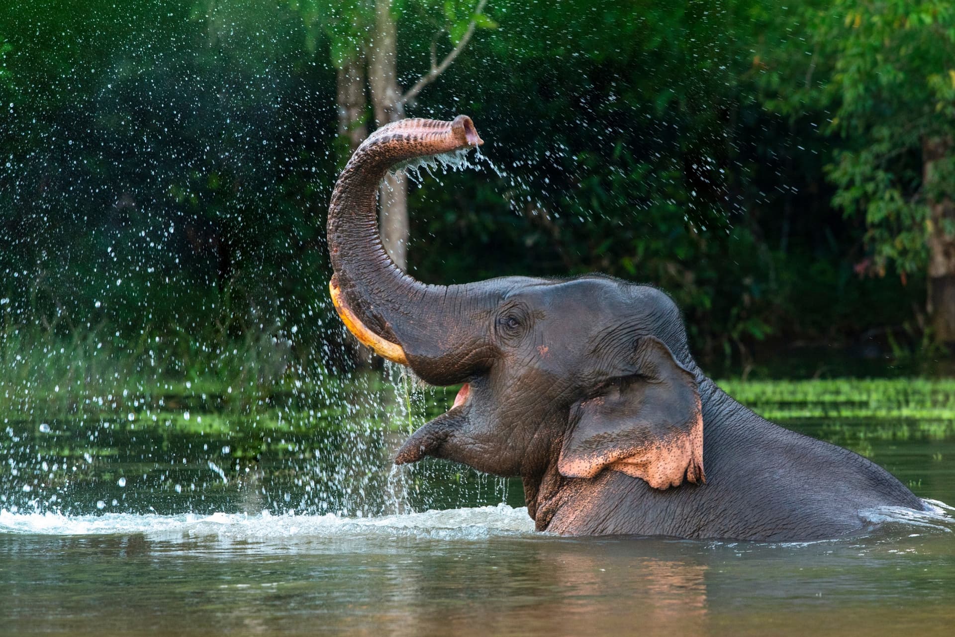 Jour 13